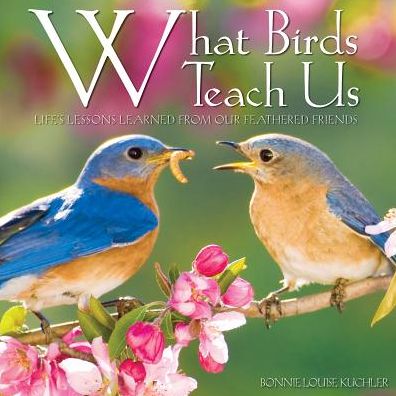 Cover for Willow Creek Press · What Birds Teach Us (Hardcover Book) (2017)