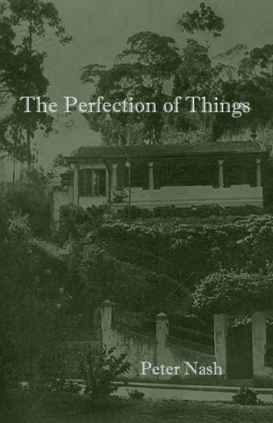Cover for Peter Nash · The Perfection of Things (Paperback Book) (2018)