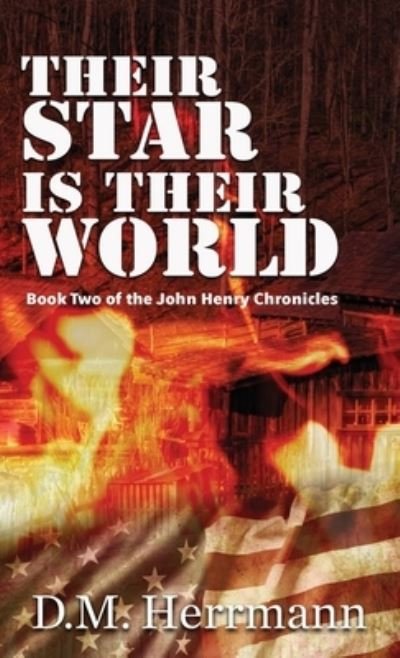 Cover for D M Herrmann · Their Star Is Their World (Paperback Book) (2020)