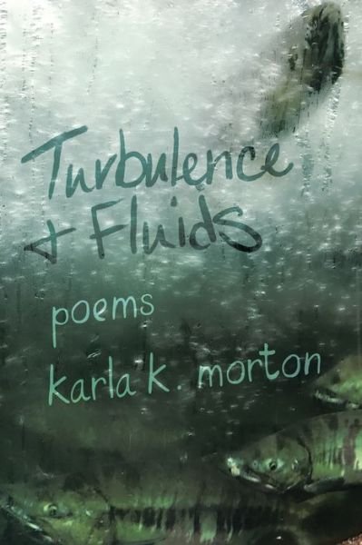 Cover for Karla K. Morton · Turbulence and Fluids (Book) (2023)