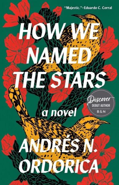 Cover for Andrés N. Ordorica · How We Named the Stars (Bok) (2024)