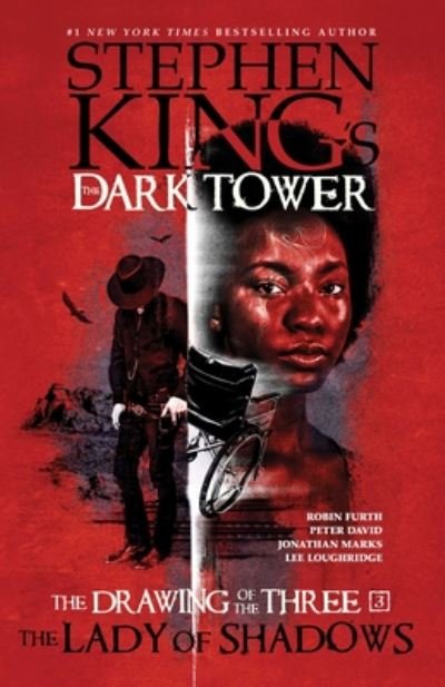 Cover for Stephen King · The Lady of Shadows (Innbunden bok) (2020)