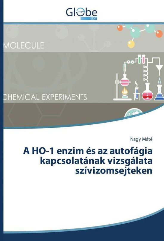 Cover for Máté · A HO-1 enzim és az autofágia kapcs (Book)