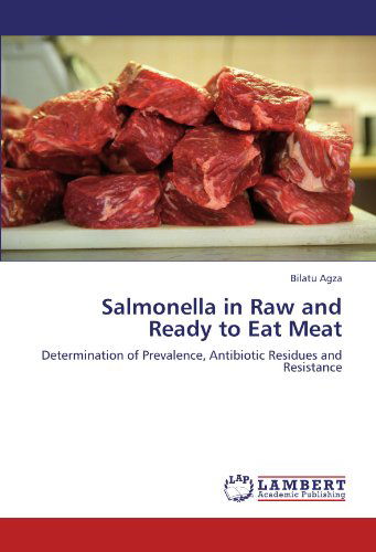 Cover for Bilatu Agza · Salmonella in Raw and Ready to Eat Meat: Determination of Prevalence, Antibiotic Residues and Resistance (Paperback Book) (2012)