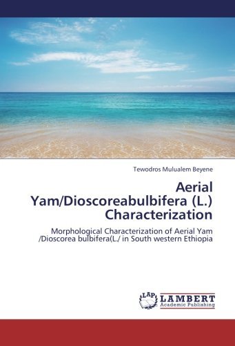 Cover for Tewodros Mulualem Beyene · Aerial Yam / Dioscoreabulbifera (L.) Characterization: Morphological Characterization of Aerial Yam /dioscorea Bulbifera (L./ in South Western Ethiopia (Taschenbuch) (2012)