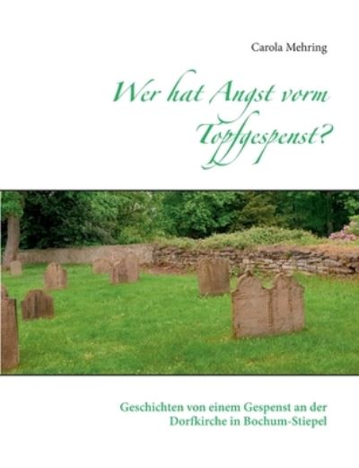 Wer hat Angst vorm Topfgespenst?: Geschichten von einem Gespenst an der Dorfkirche in Bochum-Stiepel - Carola Mehring - Books - Books on Demand - 9783754305331 - June 8, 2021