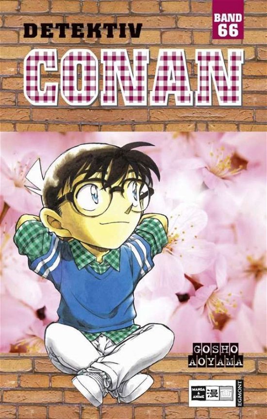 Cover for G. Aoyama · Detektiv Conan.66 (Buch)
