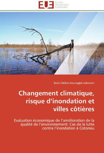 Cover for Boris Odilon Kounagbè Lokonon · Changement Climatique, Risque D'inondation et Villes Côtières: Evaluation Économique De L'amélioration De La Qualité De L'environnement: Cas De La Lutte Contre L'inondation À Cotonou (Paperback Book) [French edition] (2018)