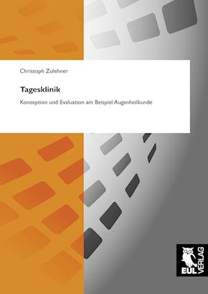 Cover for Christoph Zulehner · Tagesklinik (Paperback Book) (2008)