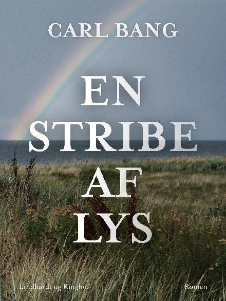 Cover for Carl Bang · En stribe af lys (Sewn Spine Book) [1º edição] (2017)