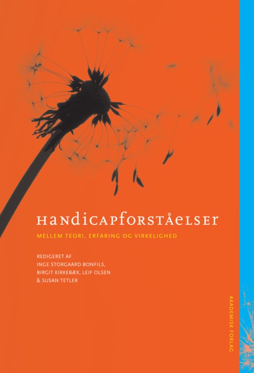 Cover for Birgit Kirkebæk; Inge Storgaard Bonfils; Susan Tetler; Leif Olsen · Handicapforståelser (Heftet bok) [1. utgave] [Indbundet] (2013)