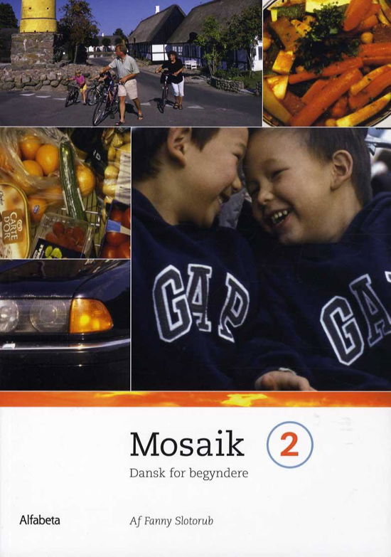 Cover for Fanny Slotorub · Mosaik: Mosaik 2, Grundbog (Poketbok) [4:e utgåva] (2013)