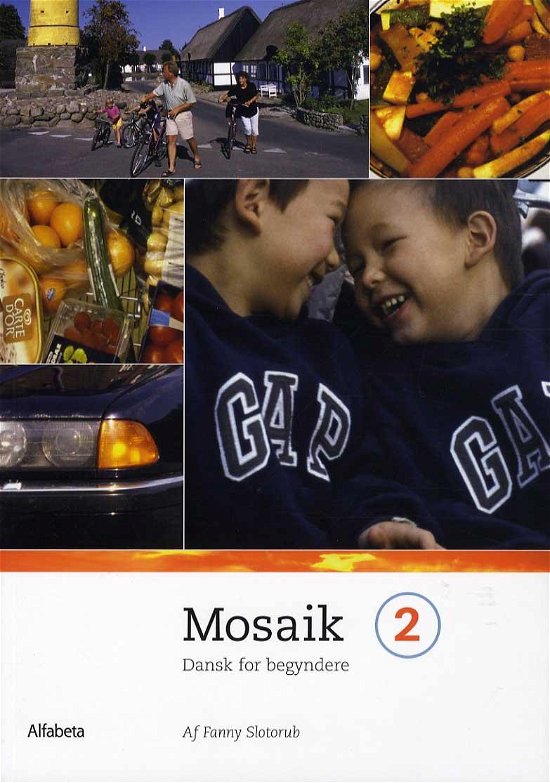Cover for Fanny Slotorub · Mosaik: Mosaik 2, Grundbog (Heftet bok) [4. utgave] (2013)