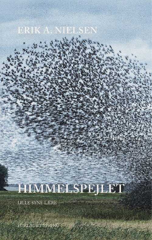 Cover for Erik A. Nielsen · Himmelspejlet (Paperback Book) [1º edição] (2017)