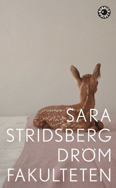 Cover for Sara Stridsberg · Drömfakulteten : tillägg till sexualteorin (Pocketbok) (2018)