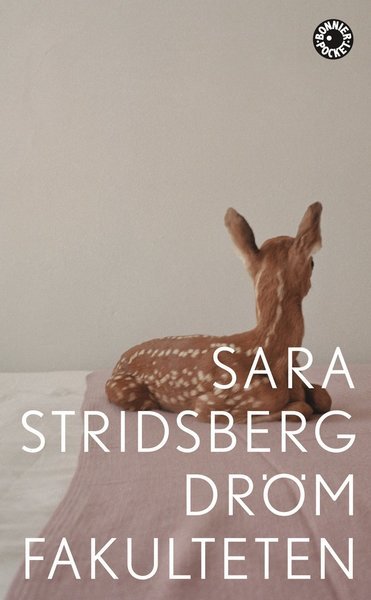 Cover for Sara Stridsberg · Drömfakulteten : tillägg till sexualteorin (Paperback Bog) (2018)
