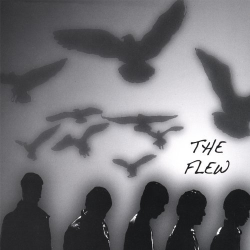 Cover for Flew (CD) (2008)