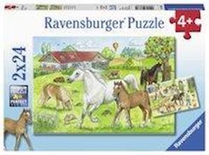 Puzzel op de manege: 2x24 stukjes (078332) - Ravensburger - Merchandise - Ravensburger - 4005556078332 - 26. Februar 2019