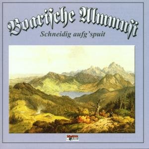Schneidig Aufgspuit-instrumental - Boarische Almmusi - Music - BOGNER - 4012897100332 - October 29, 2001