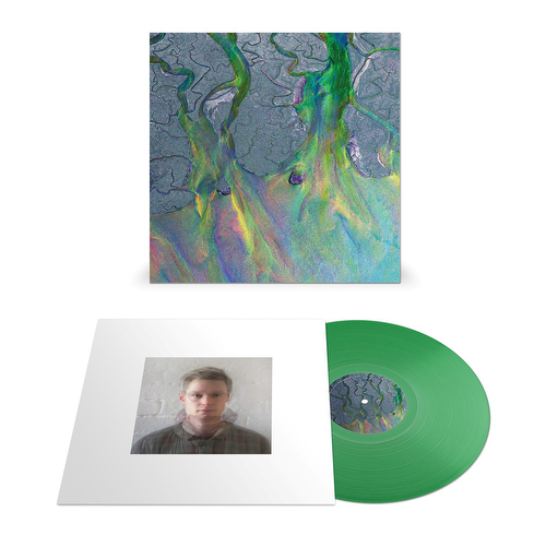 Cover for Alt-j · An Awesome Wave (LP) [National Album Day edition] (2022)