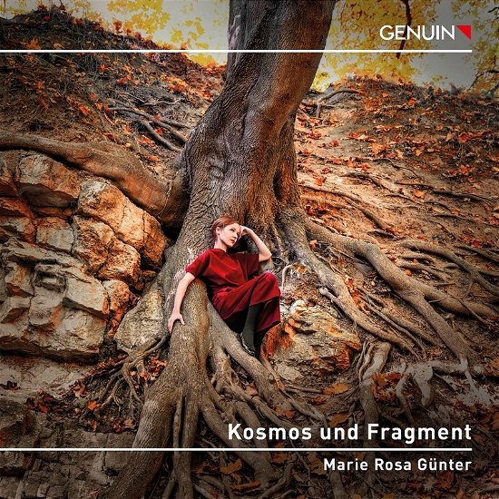 Cover for Kallmeyer / Webern / Beethoven · Kosmos Und Fragment (CD) (2023)