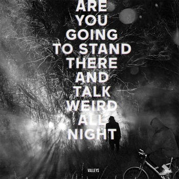 Are You Going to Stand There and Talk Weird All Night? - Valleys - Music - KANINE RECORDS - 4526180158332 - February 22, 2014