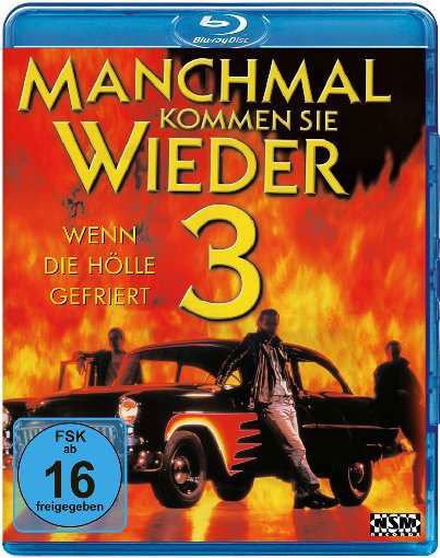 Cover for Manchmal Kommen Sie Wieder 3 · Manchmal Kommen Sie Wieder 3 (blu-r (Blu-ray) (2017)