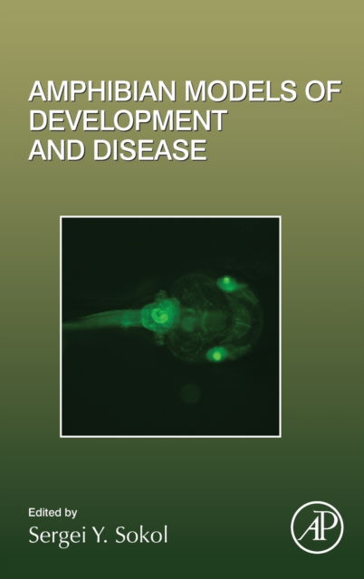 Cover for Sergei Sokol · Amphibian Models of Development and Disease (Hardcover Book) (2021)