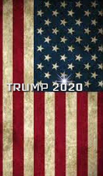 Cover for Sir Michael Huhn · Trump American Flag 2020 Creative Journal (Hardcover Book) (2020)