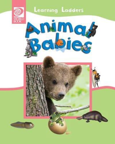 Cover for Animal Babies (Paperback Book) (2016)