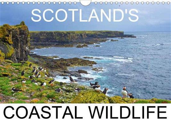 Cover for Cumming · Scottish Coastal Wildlife (Wall (Bok)