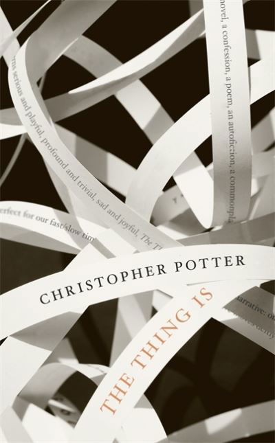 The Thing Is - Christopher Potter - Książki - Little, Brown Book Group - 9781472134332 - 1 lipca 2021