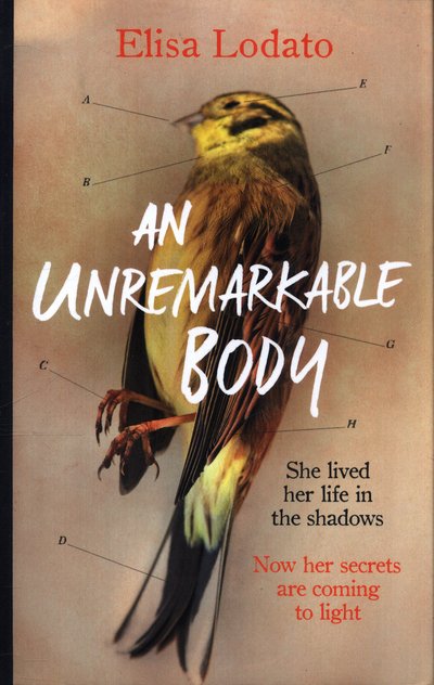 Cover for Elisa Lodato · An Unremarkable Body: Shortlisted for the Costa First Novel Award 2018 (Hardcover bog) (2019)