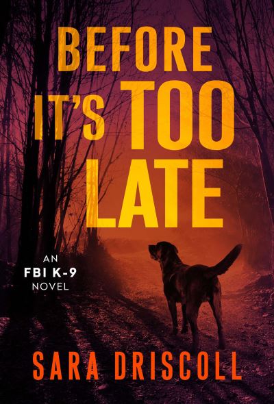 Cover for Sara Driscoll · Before It's Too Late (Bok) (2024)