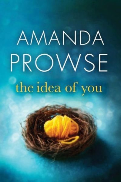 Cover for Amanda Prowse · The Idea of You (Pocketbok) (2017)
