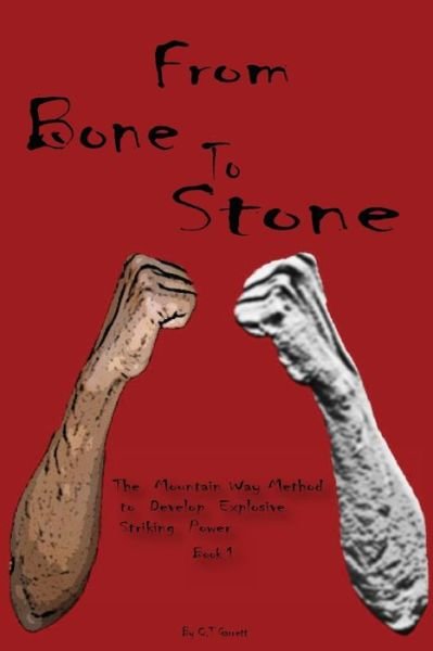 Cover for C T Garrett · From Bone to Stone (Paperback Bog) (2016)