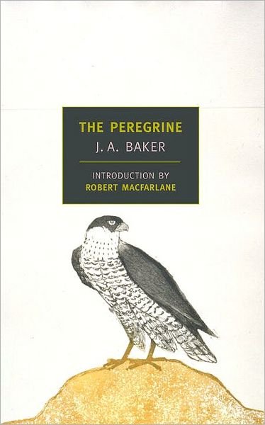 Cover for J. A. Baker · The Peregrine (Pocketbok) [Main edition] (2004)