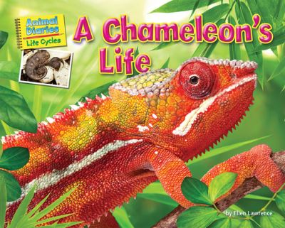 Cover for Ellen Lawrence · Chameleon's Life (Book) (2020)