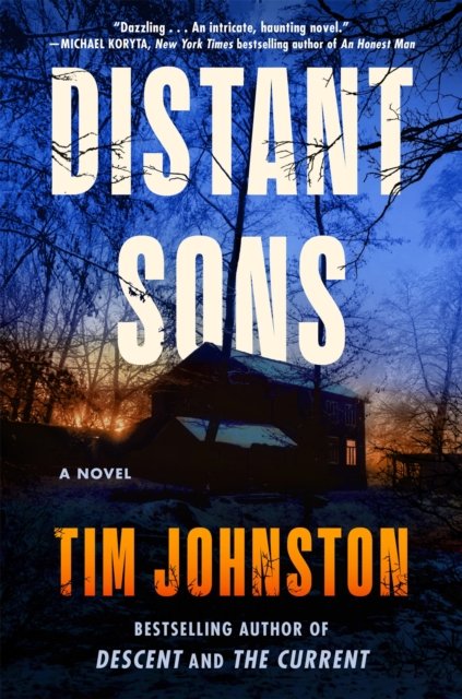 Cover for Tim Johnston · Distant Sons (Paperback Book) (2024)
