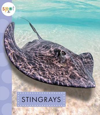 Cover for Mari C Schuh · Stingrays (Hardcover Book) (2019)