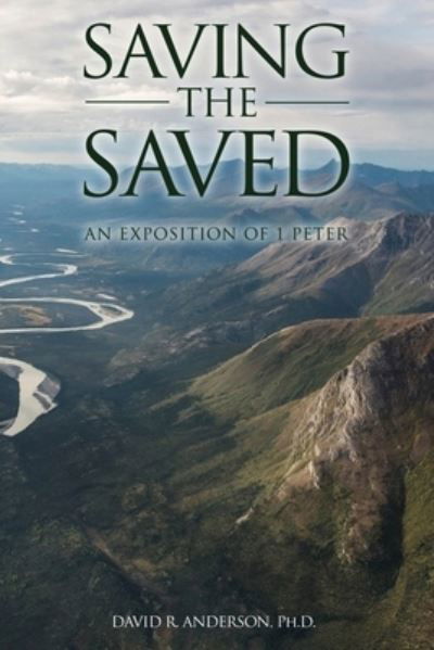 Cover for Anderson, David R, PH D · Saving the Saved (Paperback Book) (2020)