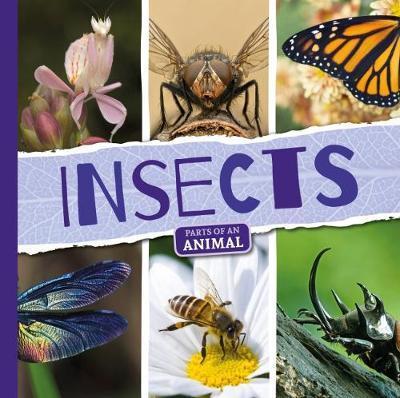 Insects - Parts of an Animal - Emilie Dufresne - Books - BookLife Publishing - 9781786374332 - September 28, 2018