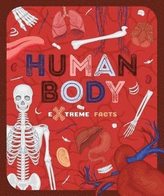 Cover for Steffi Cavell-Clarke · Human Body - Extreme Facts (Paperback Bog) (2019)