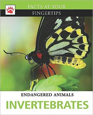 Invertebrates - Tim Harris - Books - Brown Bear Books - 9781936333332 - July 15, 2011