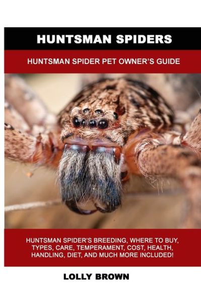 Cover for Lolly Brown · Huntsman Spiders (Paperback Book) (2022)