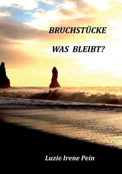 Cover for Luzie Irene Pein · Bruchstucke: Was bleibt? (Pocketbok) (2019)