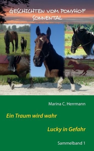 Cover for Herrmann · Geschichten vom Ponyhof Sonnen (Buch) (2017)