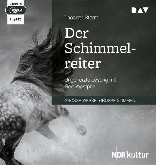 Der Schimmelreiter - Theodor Storm - Musikk - Der Audio Verlag - 9783742415332 - 