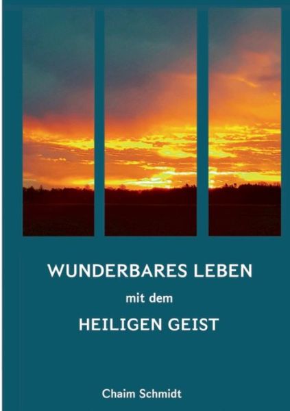 Cover for Schmidt · Wunderbares Leben mit dem Heili (Buch) (2020)