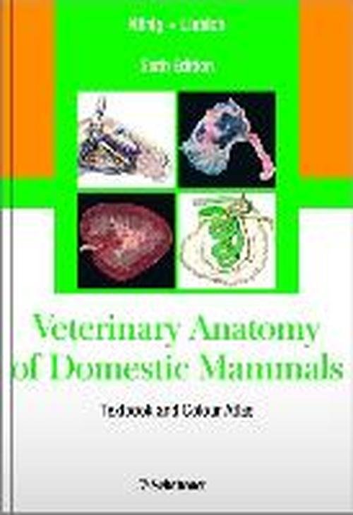 Veterinary Anatomy of Domestic Mammals: Textbooks and Colour Atlas - Horst Erich König m.fl. - Bøker - Schattauer GmbH - 9783794528332 - 1. desember 2013
